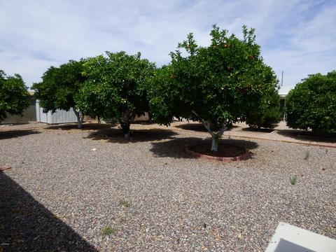 701 N 59th Pl, Mesa, AZ 85205 photo 14
