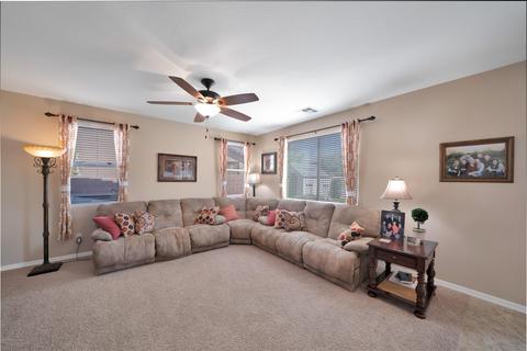 11037 E Starkey Ave, Mesa, AZ 85212 photo 15
