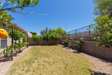 217 E Milada Dr, Phoenix, AZ 85042 photo 31