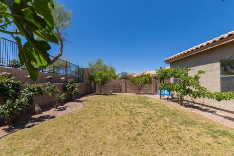 217 E Milada Dr, Phoenix, AZ 85042 photo 35