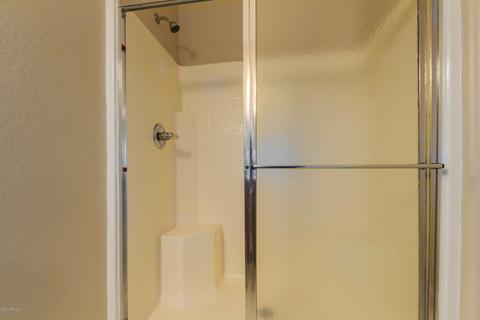 217 E Milada Dr, Phoenix, AZ 85042 photo 22