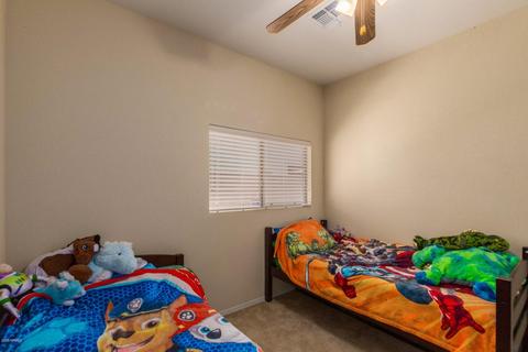 217 E Milada Dr, Phoenix, AZ 85042 photo 25