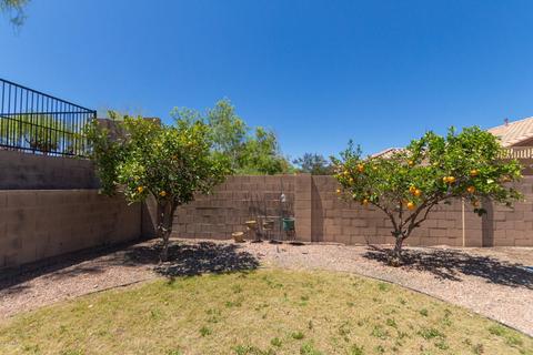 217 E Milada Dr, Phoenix, AZ 85042 photo 37