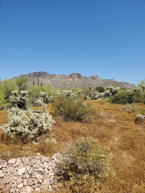 1273 W Kaniksu St, Apache Junction, AZ 85120 photo 3