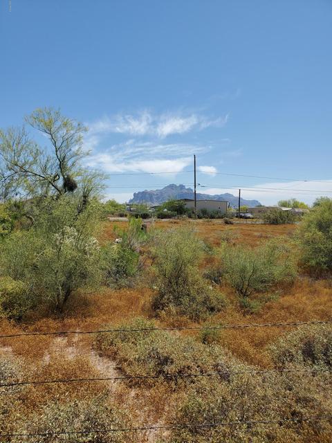 1273 W Kaniksu St, Apache Junction, AZ 85120 photo 5