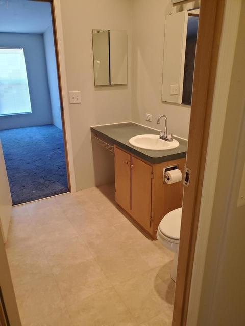 1273 W Kaniksu St, Apache Junction, AZ 85120 photo 15