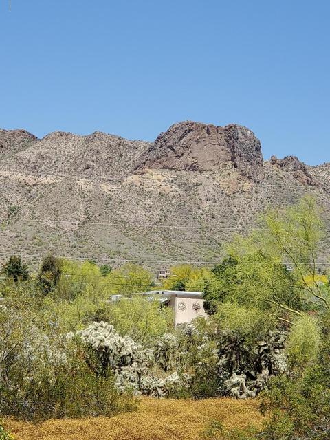 1273 W Kaniksu St, Apache Junction, AZ 85120 photo 6