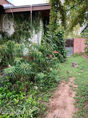 1127 E Oregon Ave, Phoenix, AZ 85014 photo 5