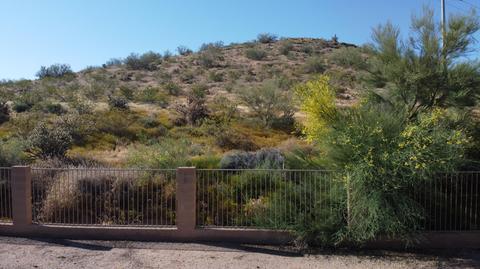 2315 Electra Ln, Phoenix, AZ 85024 photo 30