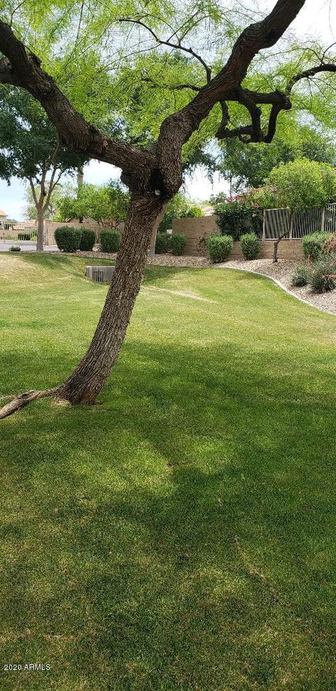 2128 S Edgewater --, Mesa, AZ 85209 photo 55