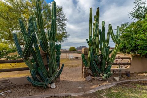 10718 E Fenimore Rd, Mesa, AZ 85207 photo 36