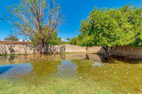 2154 E Hale St, Mesa, AZ 85213 photo 39