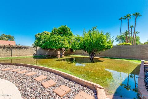2154 E Hale St, Mesa, AZ 85213 photo 40