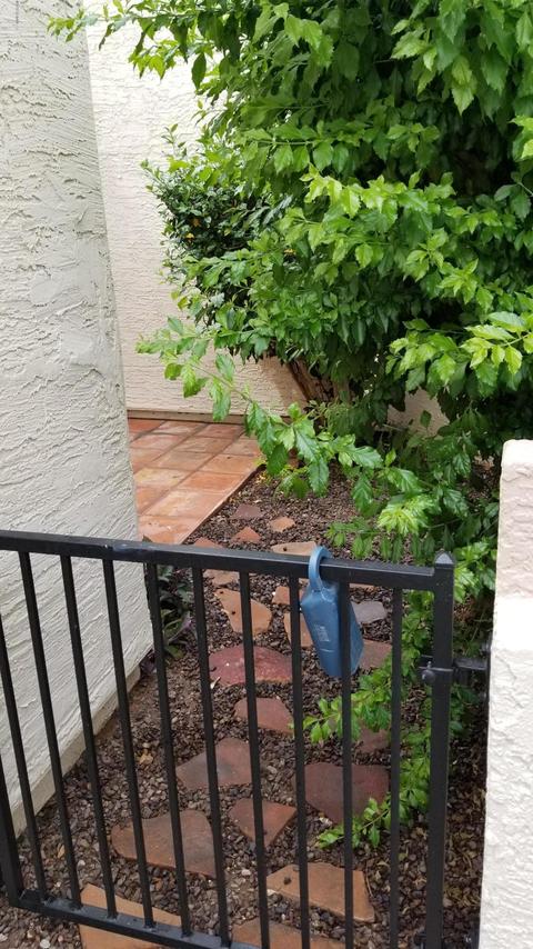 752 E Morningside Dr, Phoenix, AZ 85022 photo 5