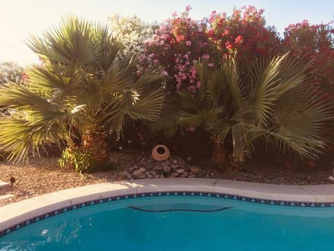 3146 E Cholla St, Phoenix, AZ 85028 photo 28