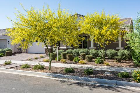 10532 E Relativity Ave, Mesa, AZ 85212 photo 2