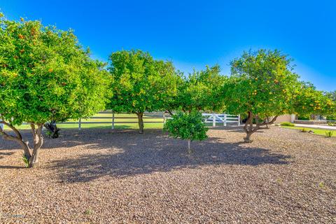 540 E Palo Verde St, Gilbert, AZ 85296 photo 45