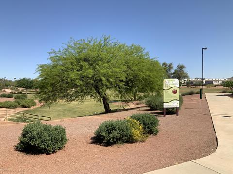 815 E Grovers Ave #59, Phoenix, AZ 85022 photo 30
