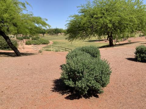 815 E Grovers Ave #59, Phoenix, AZ 85022 photo 31