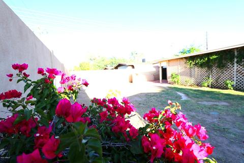 1244 E Susan Ln, Tempe, AZ 85288 photo 29