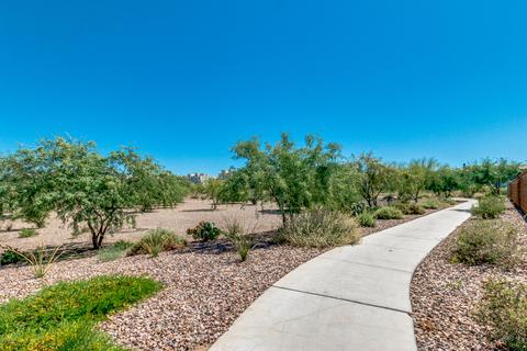 6617 E Morningside Dr, Phoenix, AZ 85054 photo 60