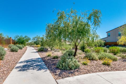 6617 E Morningside Dr, Phoenix, AZ 85054 photo 59
