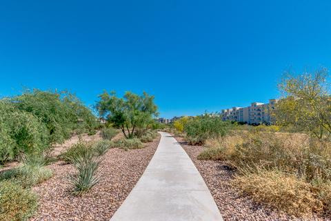 6617 E Morningside Dr, Phoenix, AZ 85054 photo 62