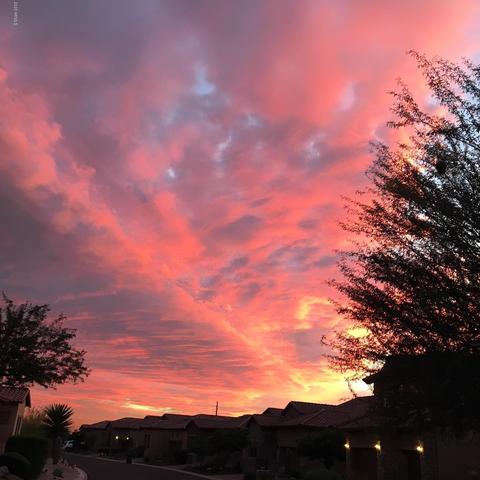 1658 N Channing --, Mesa, AZ 85207 photo 32