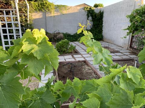 1817 E Presidio Rd, Phoenix, AZ 85022 photo 27
