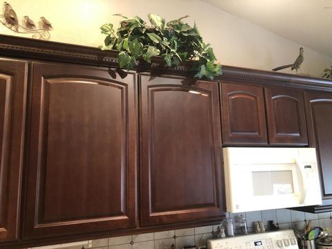 14446 S 24th Pl, Phoenix, AZ 85048 photo 9