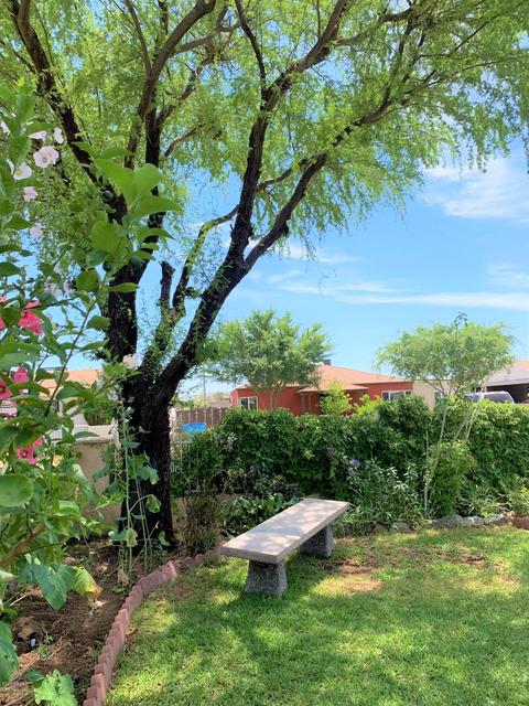3240 E Mckinley St, Phoenix, AZ 85008 photo 5
