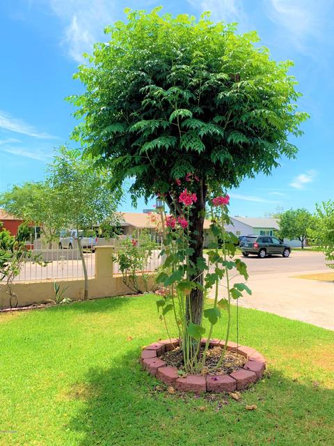 3240 E Mckinley St, Phoenix, AZ 85008 photo 13