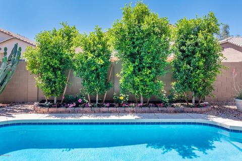 2423 W Park St, Phoenix, AZ 85041 photo 56
