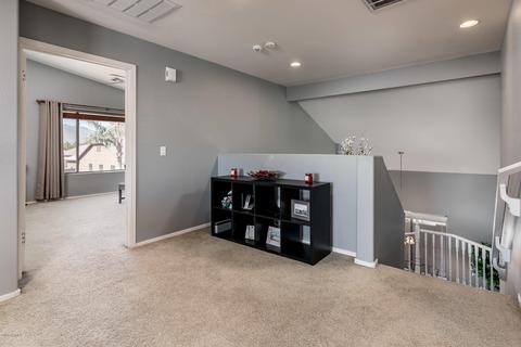 2423 W Park St, Phoenix, AZ 85041 photo 35