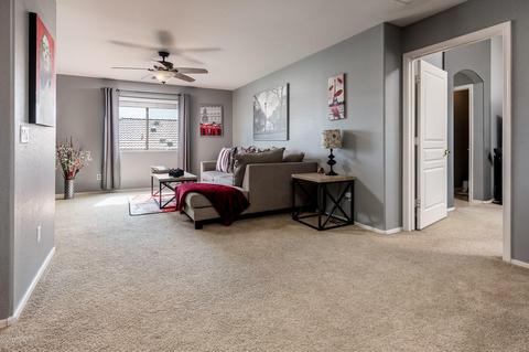 2423 W Park St, Phoenix, AZ 85041 photo 32
