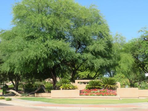3647 E Park Ave, Phoenix, AZ 85044 photo 3