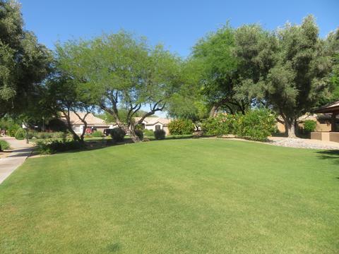 3647 E Park Ave, Phoenix, AZ 85044 photo 10