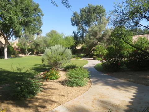 3647 E Park Ave, Phoenix, AZ 85044 photo 7