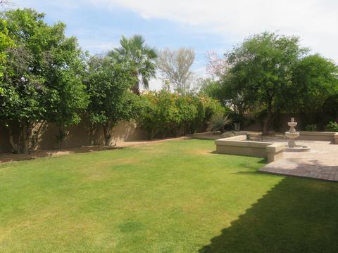 3647 E Park Ave, Phoenix, AZ 85044 photo 48