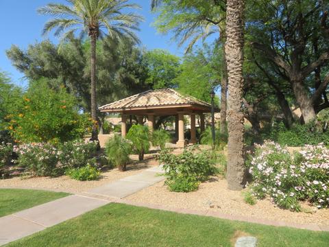 3647 E Park Ave, Phoenix, AZ 85044 photo 11
