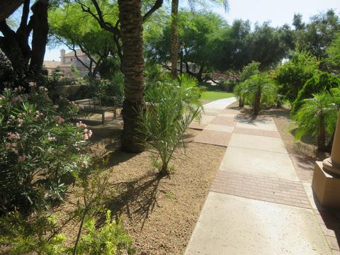 3647 E Park Ave, Phoenix, AZ 85044 photo 5