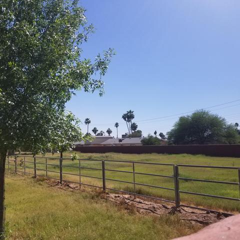 1706 N Cherry --, Mesa, AZ 85201 photo 29