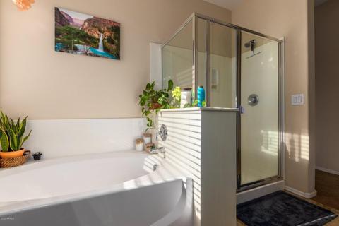 11120 E Roselle Ave, Mesa, AZ 85212 photo 12