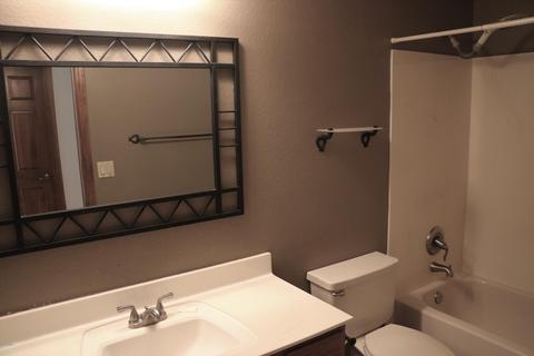 4113 E Nighthawk Way, Phoenix, AZ 85048 photo 18
