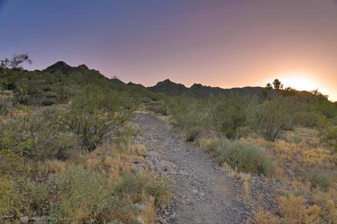 2915 E Beryl Ave, Phoenix, AZ 85028 photo 32