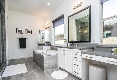 2910 E Spring Wheat Ln, Gilbert, AZ 85296 photo 18