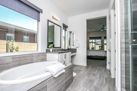 2910 E Spring Wheat Ln, Gilbert, AZ 85296 photo 19