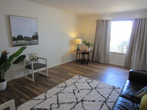 1521 E Verlea Dr, Tempe, AZ 85282 photo 4