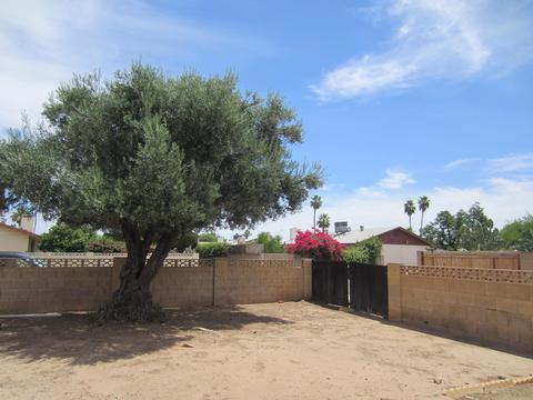 1521 E Verlea Dr, Tempe, AZ 85282 photo 12