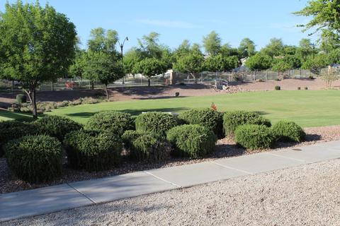 2668 E Megan St, Gilbert, AZ 85295 photo 4